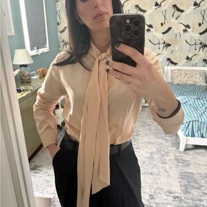 Celine Silk Pale Pink Blouse with Long Bow